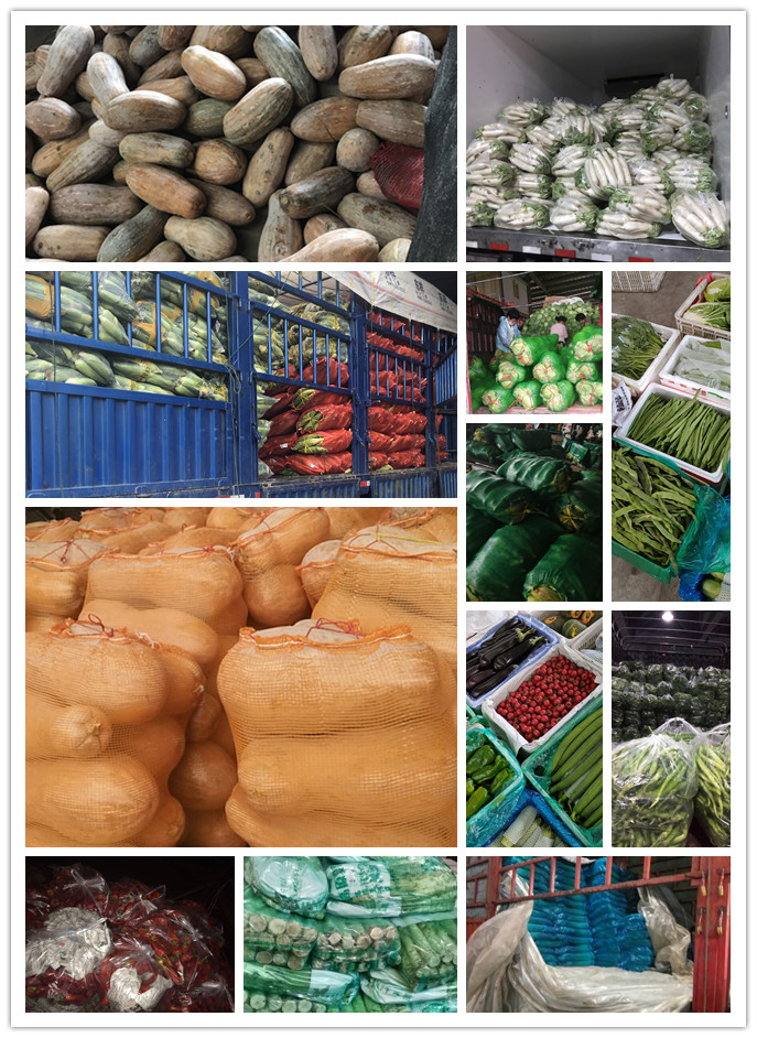 首页| J9集团国际站官方网站