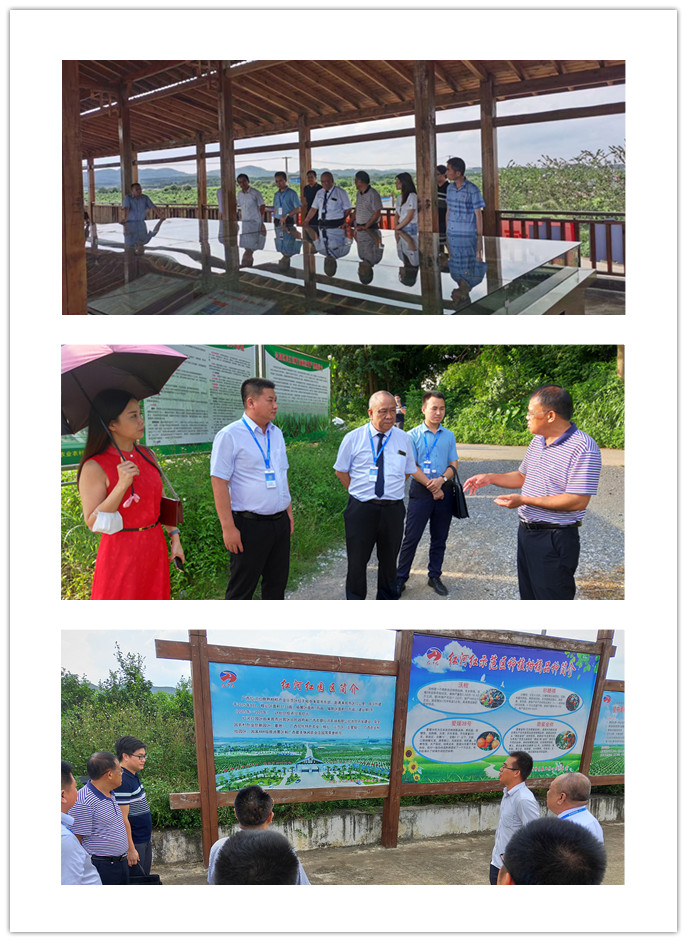 首页| J9集团国际站官方网站