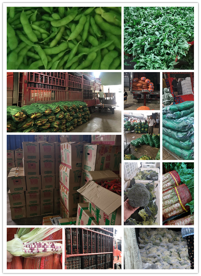 首页| J9集团国际站官方网站