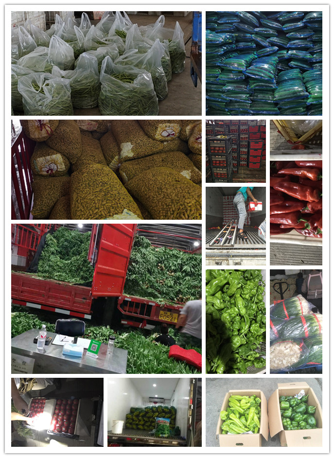 首页| J9集团国际站官方网站