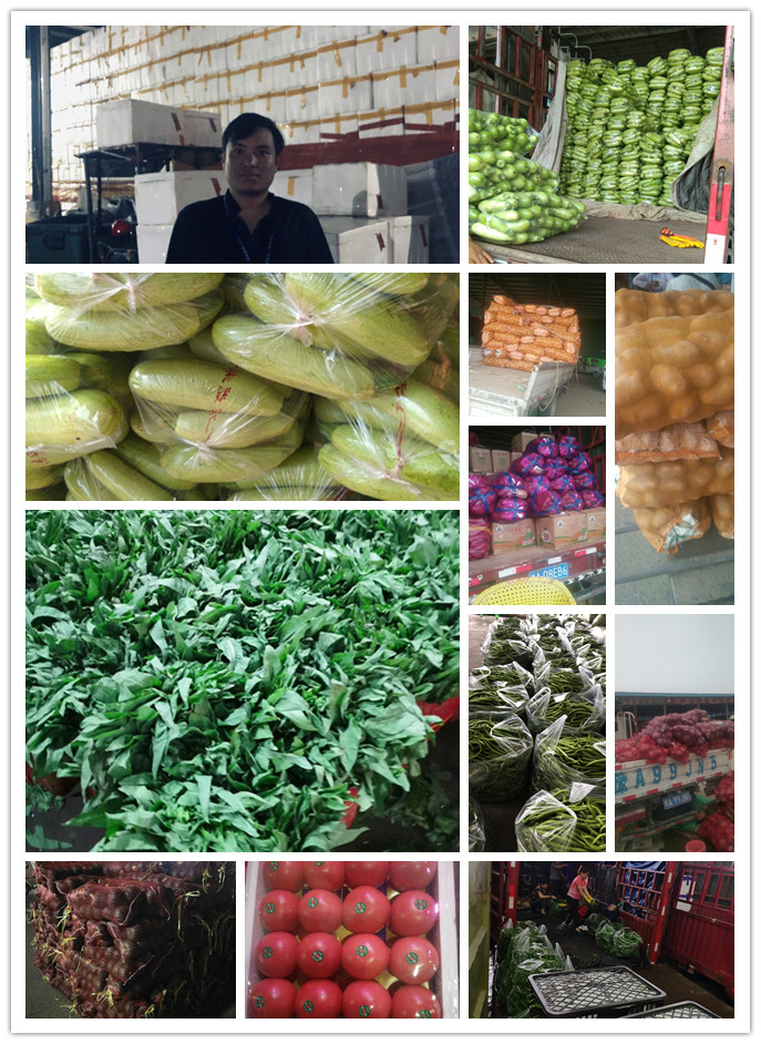 首页| J9集团国际站官方网站