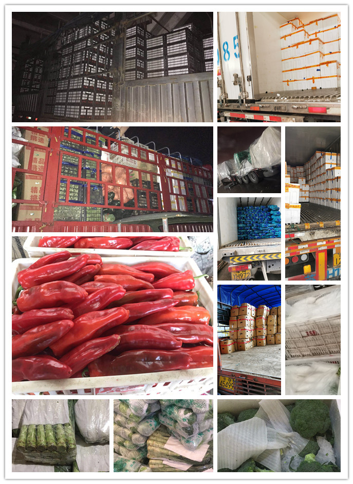 首页| J9集团国际站官方网站