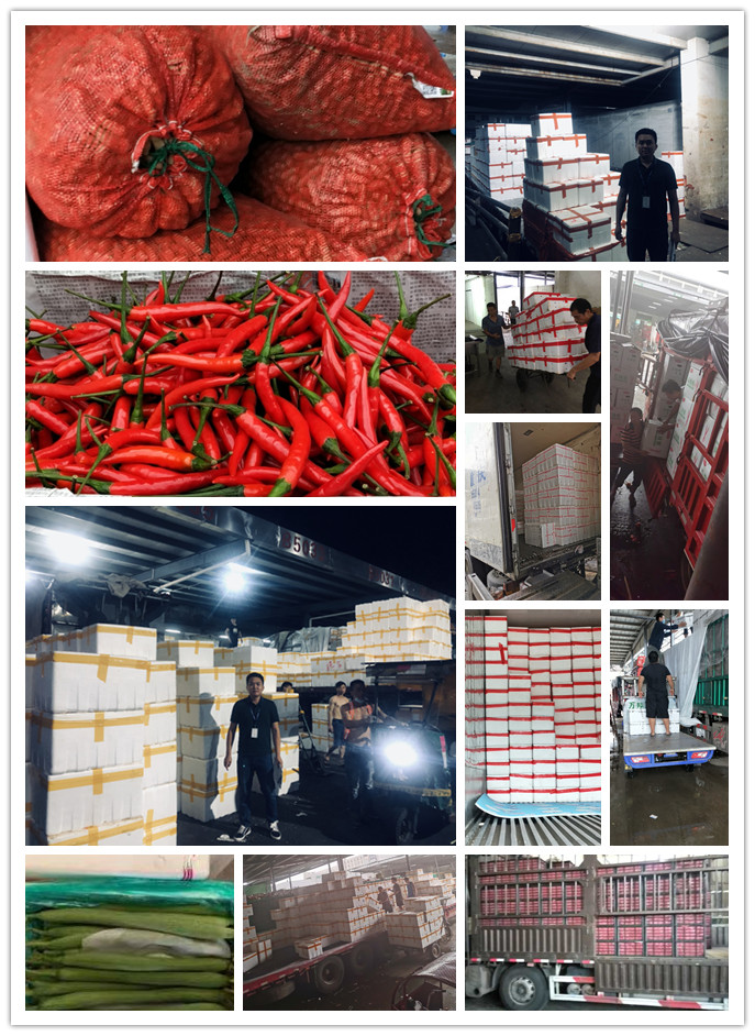 首页| J9集团国际站官方网站