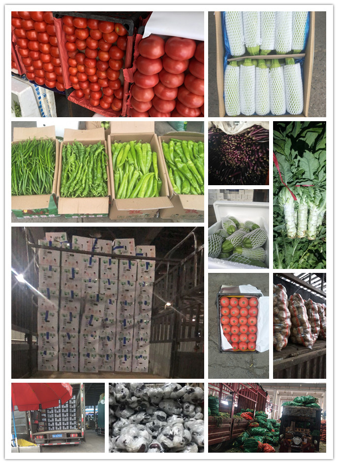 首页| J9集团国际站官方网站