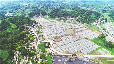 首页| J9集团国际站官方网站