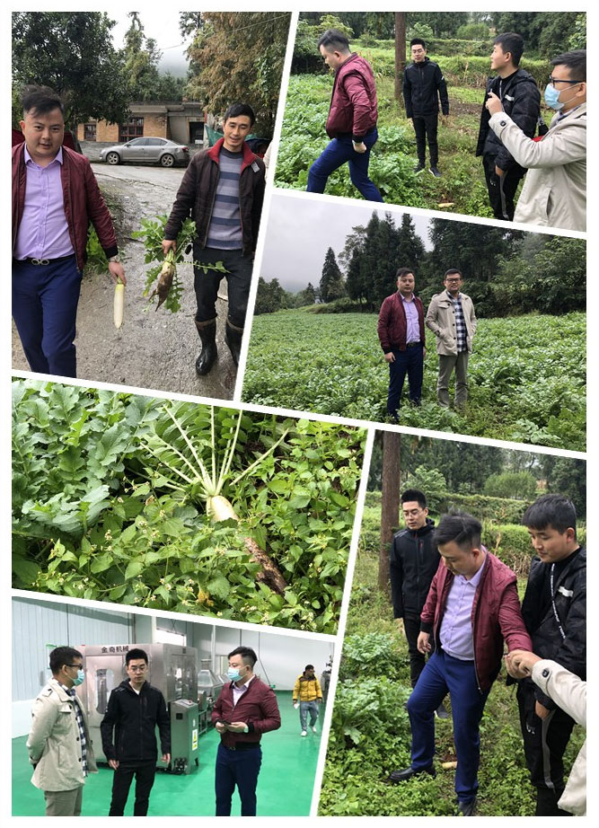 首页| J9集团国际站官方网站