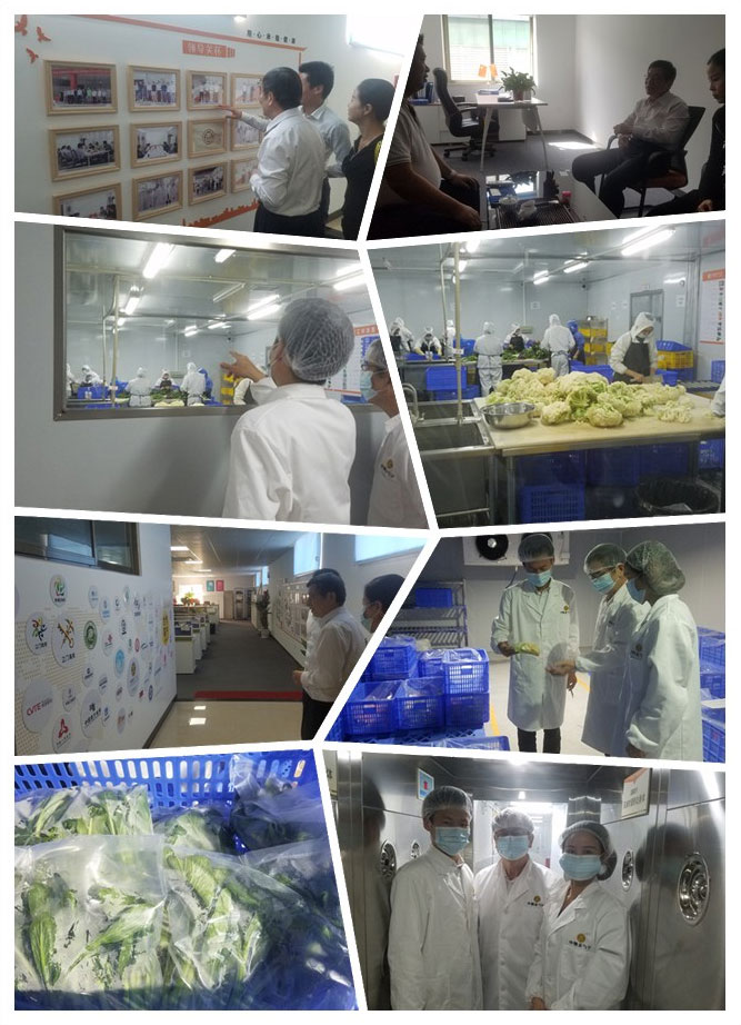 首页| J9集团国际站官方网站