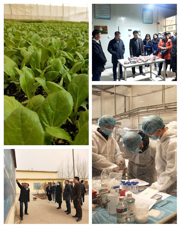 首页| J9集团国际站官方网站