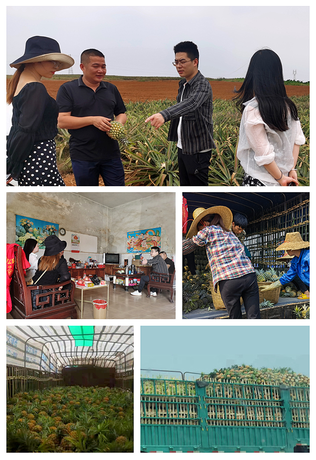 首页| J9集团国际站官方网站