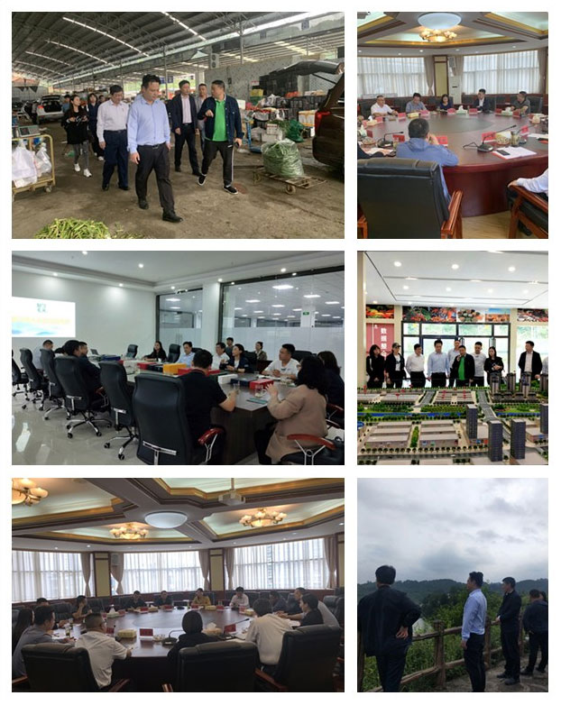 首页| J9集团国际站官方网站