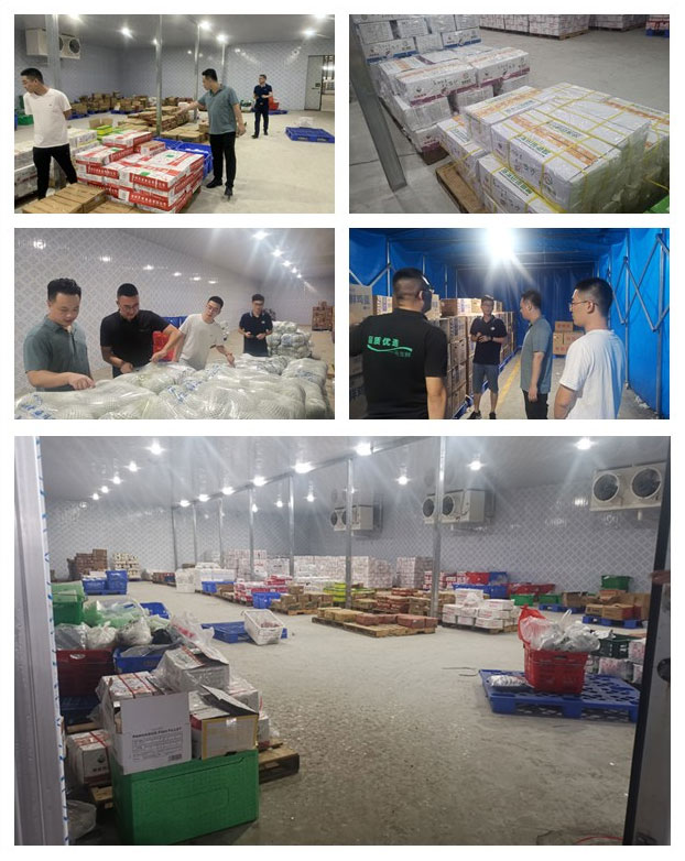 首页| J9集团国际站官方网站