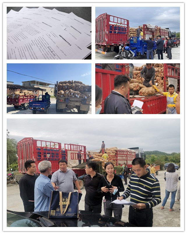 首页| J9集团国际站官方网站