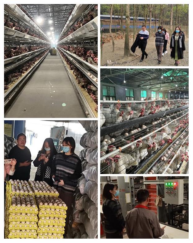 首页| J9集团国际站官方网站