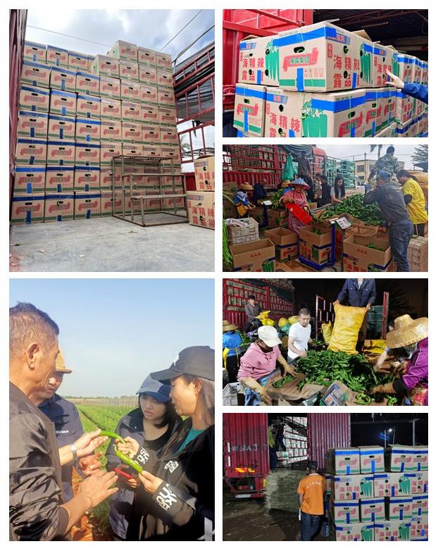 首页| J9集团国际站官方网站