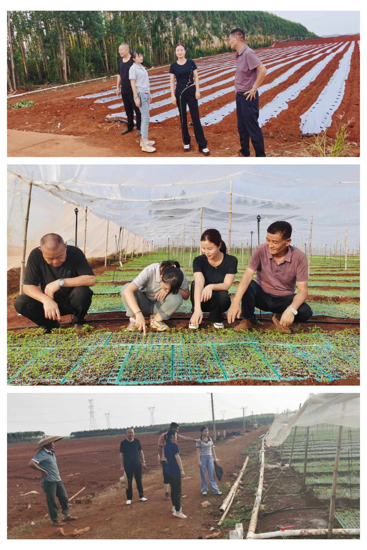 首页| J9集团国际站官方网站