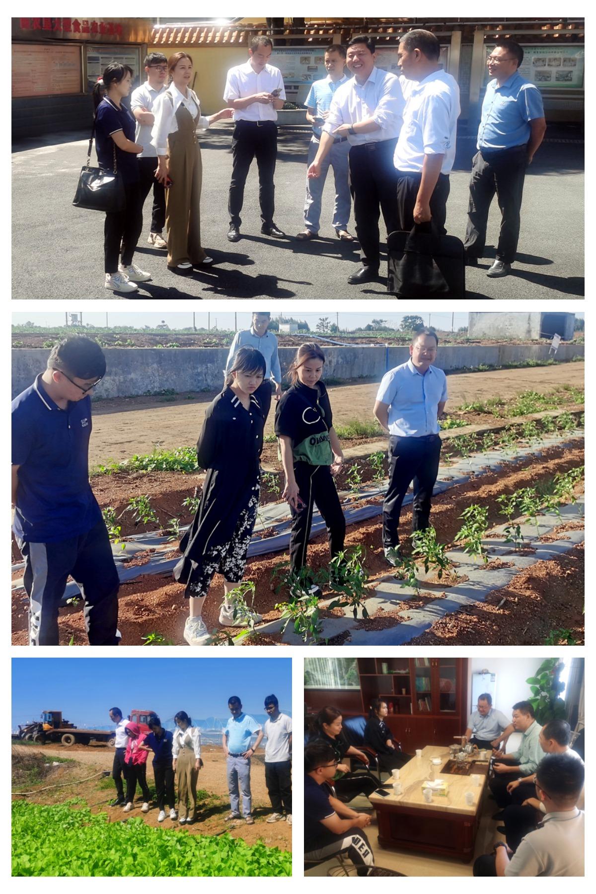 首页| J9集团国际站官方网站