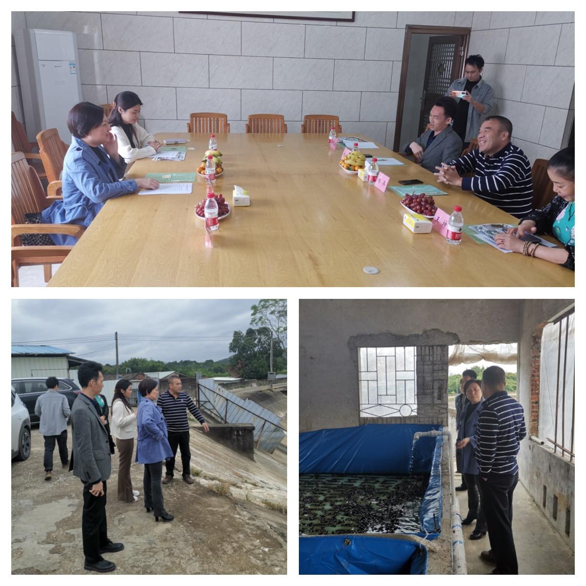 首页| J9集团国际站官方网站