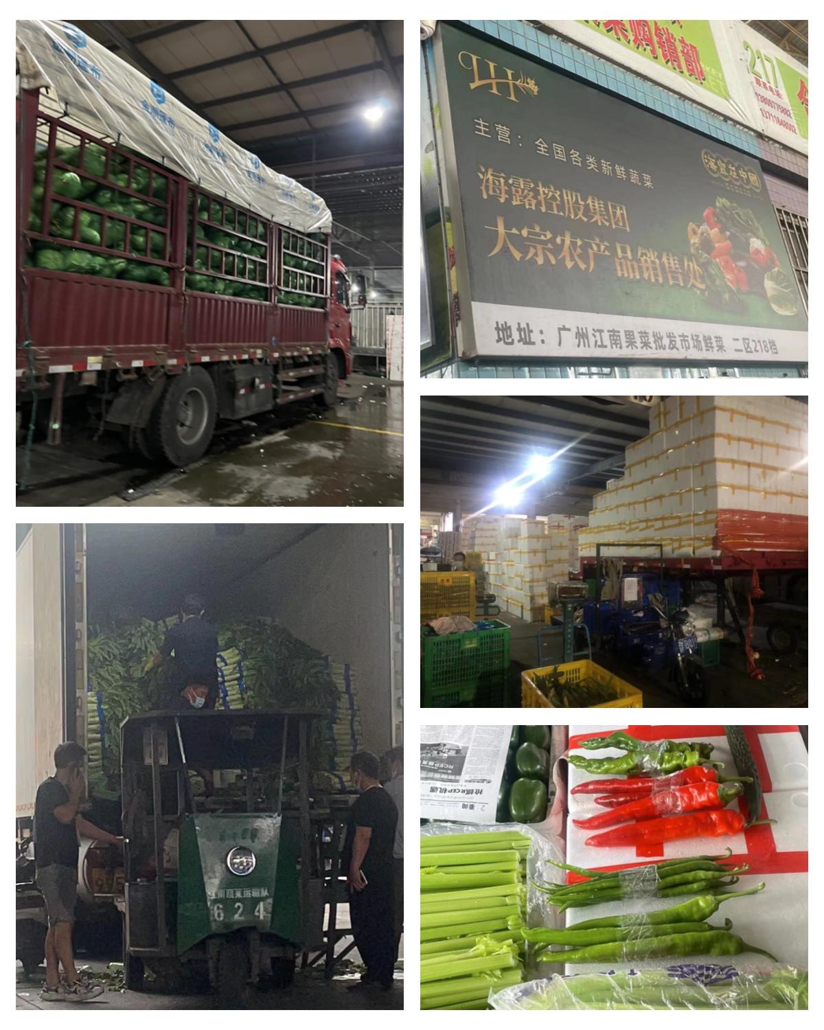 首页| J9集团国际站官方网站