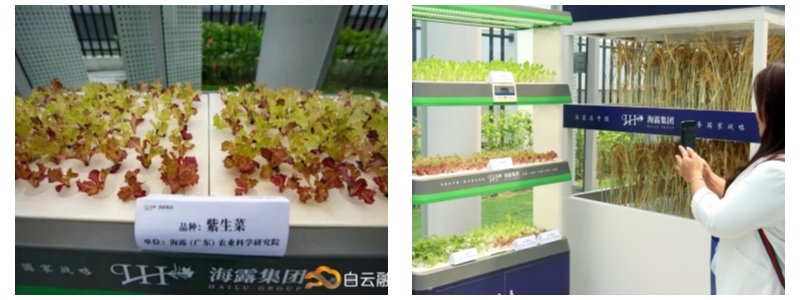 首页| J9集团国际站官方网站