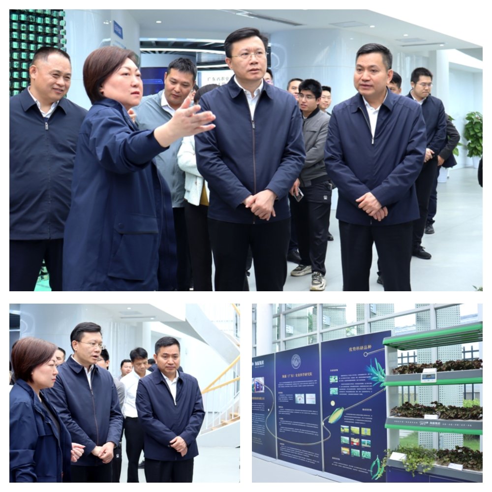 首页| J9集团国际站官方网站