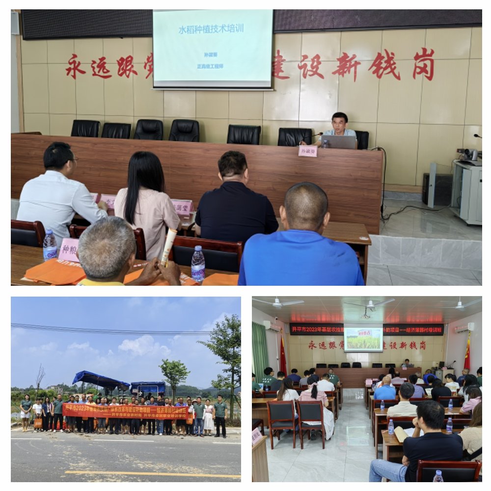 首页| J9集团国际站官方网站