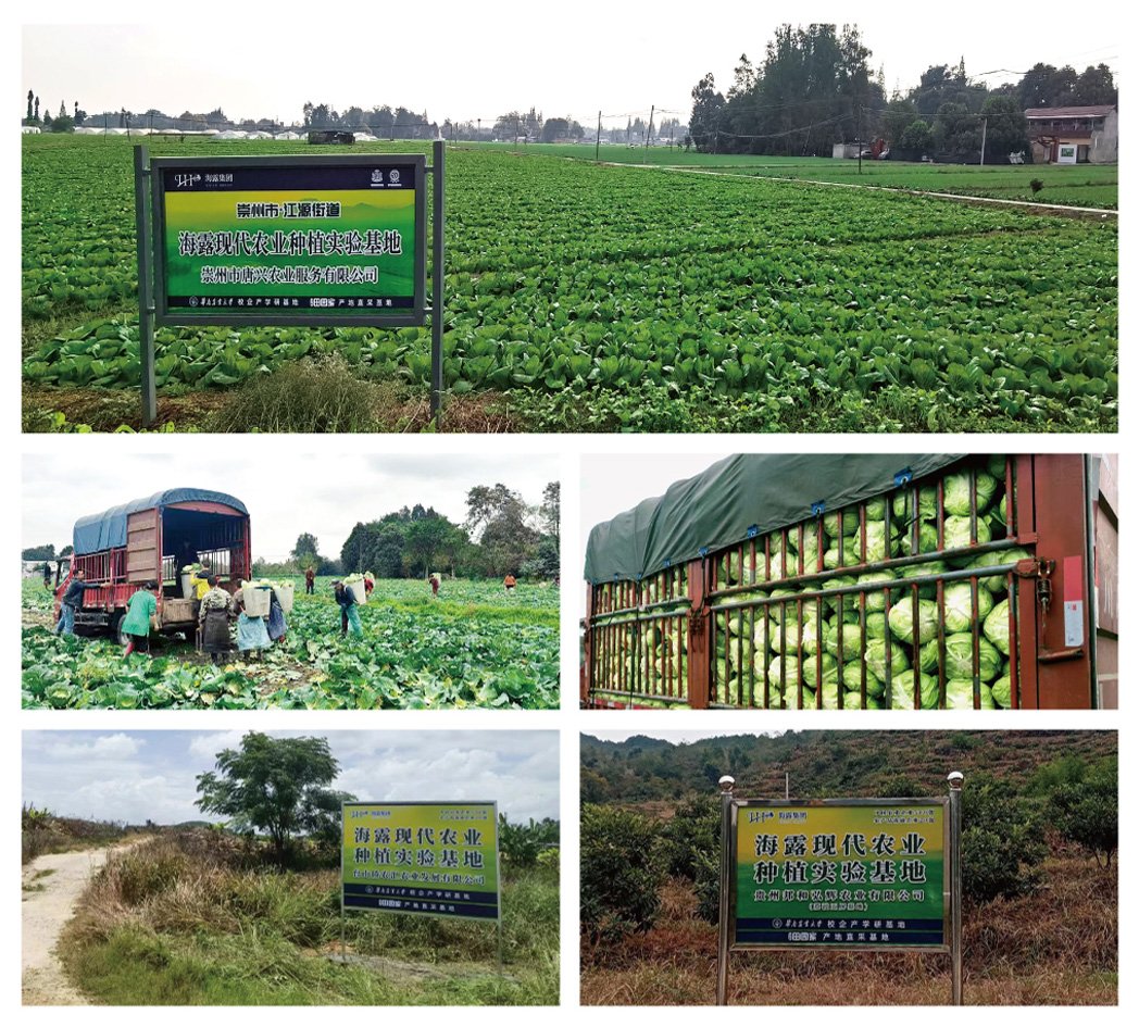 首页| J9集团国际站官方网站