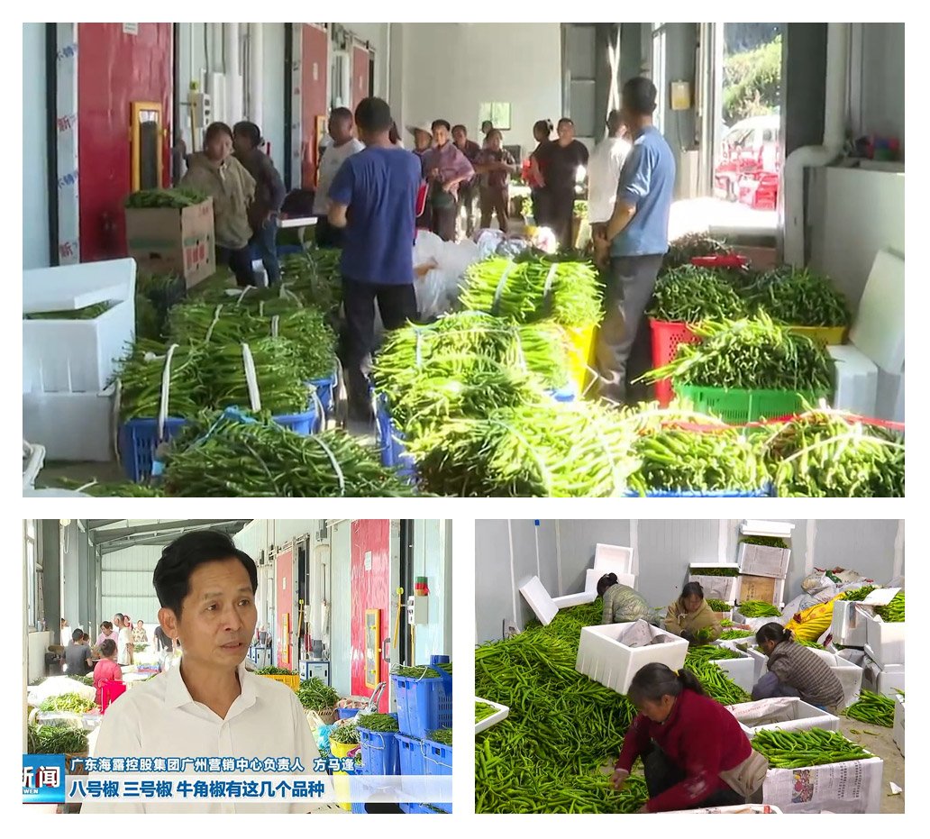 首页| J9集团国际站官方网站