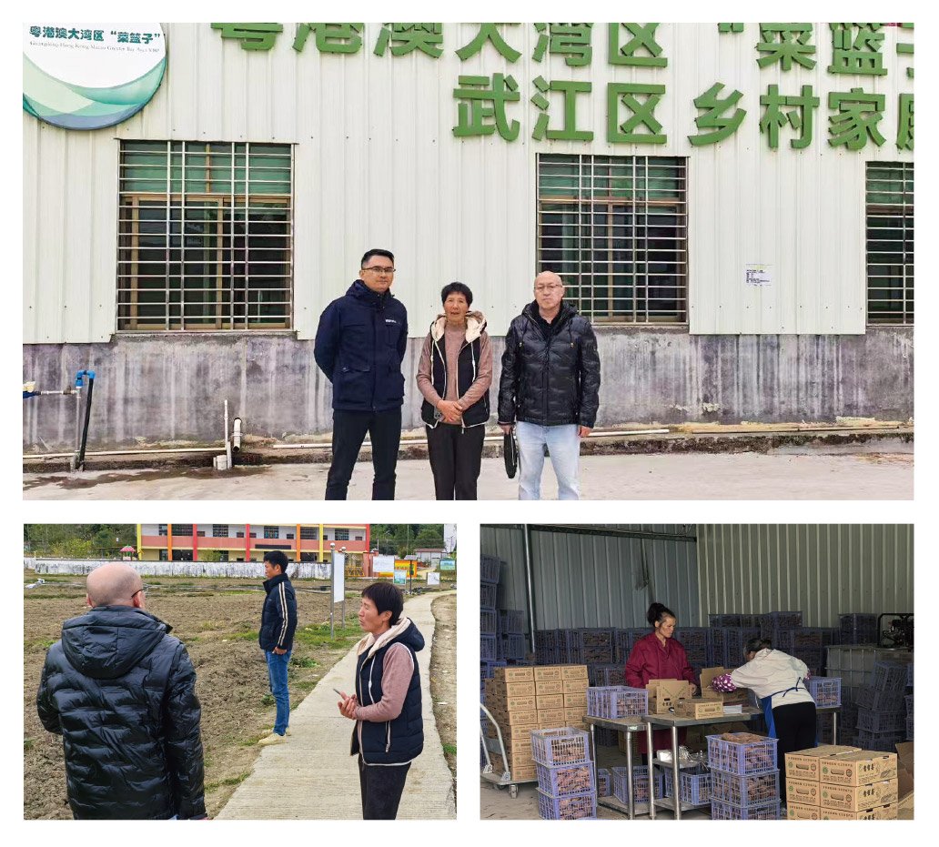 首页| J9集团国际站官方网站