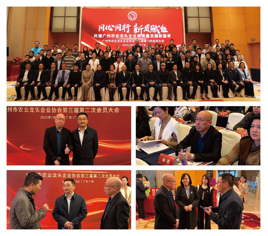 首页| J9集团国际站官方网站