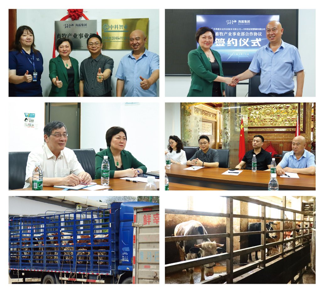 首页| J9集团国际站官方网站