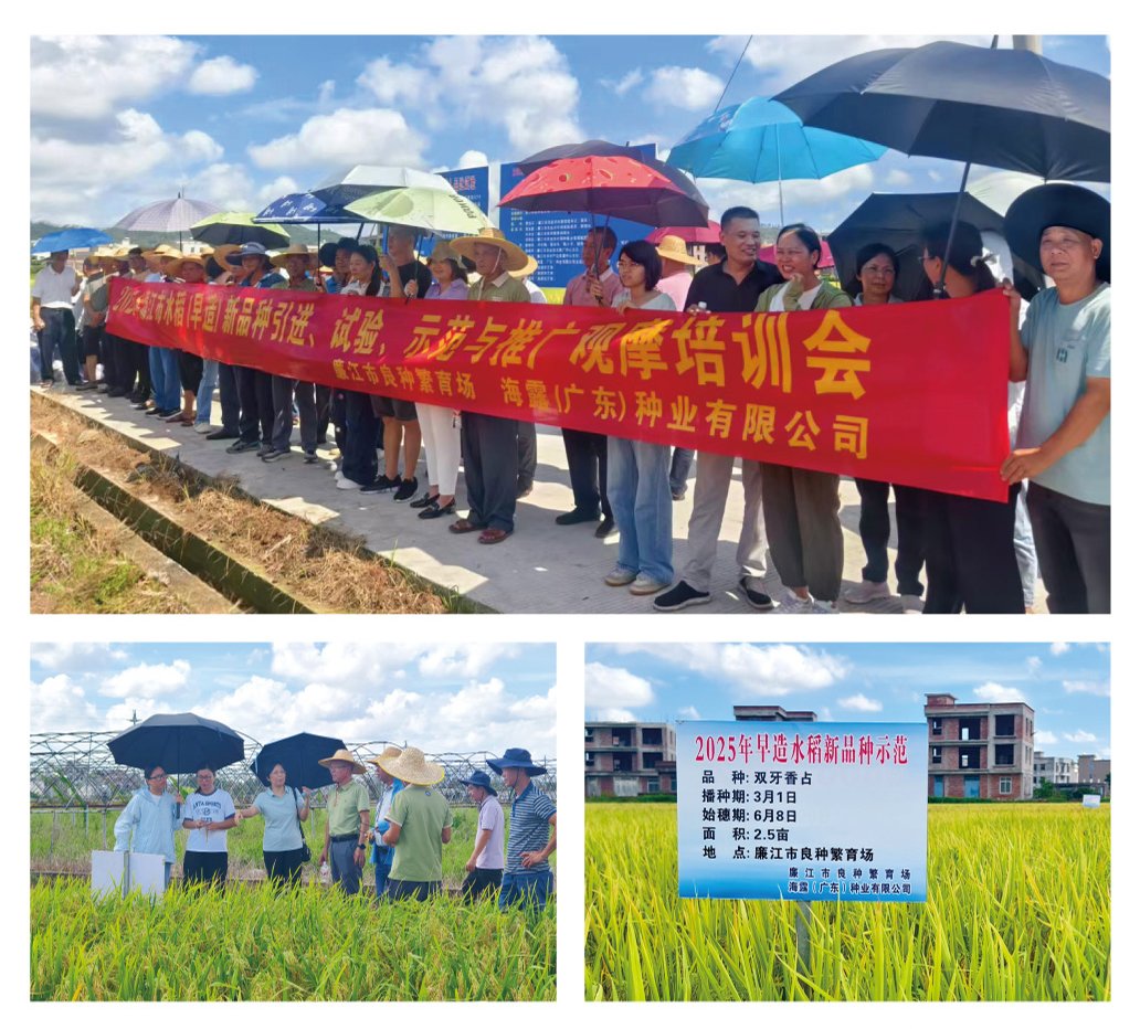 首页| J9集团国际站官方网站