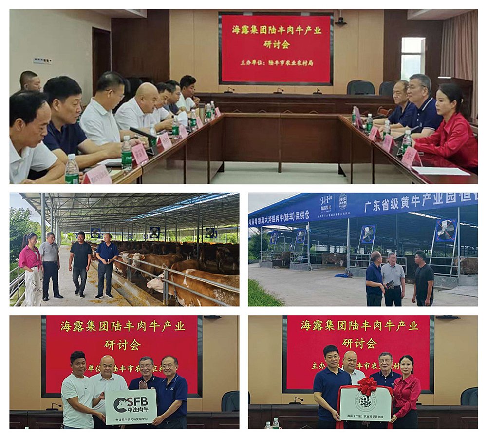 首页| J9集团国际站官方网站