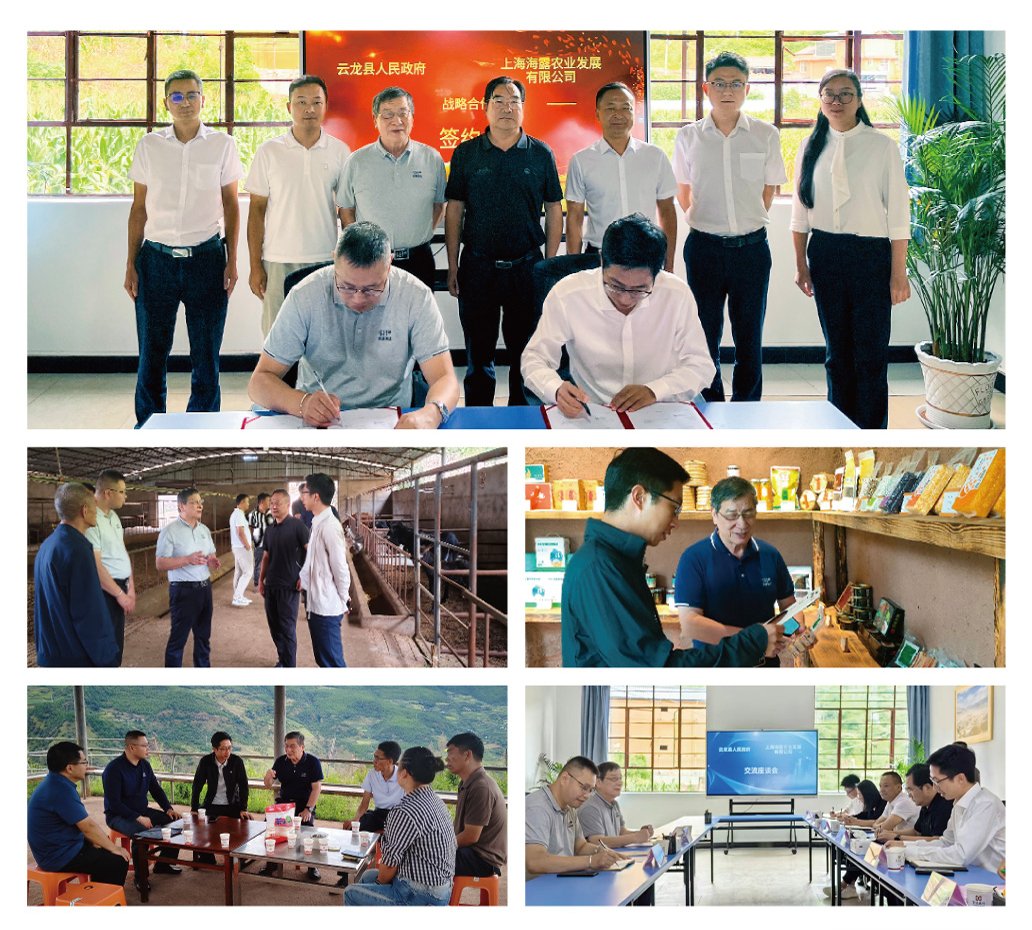 首页| J9集团国际站官方网站