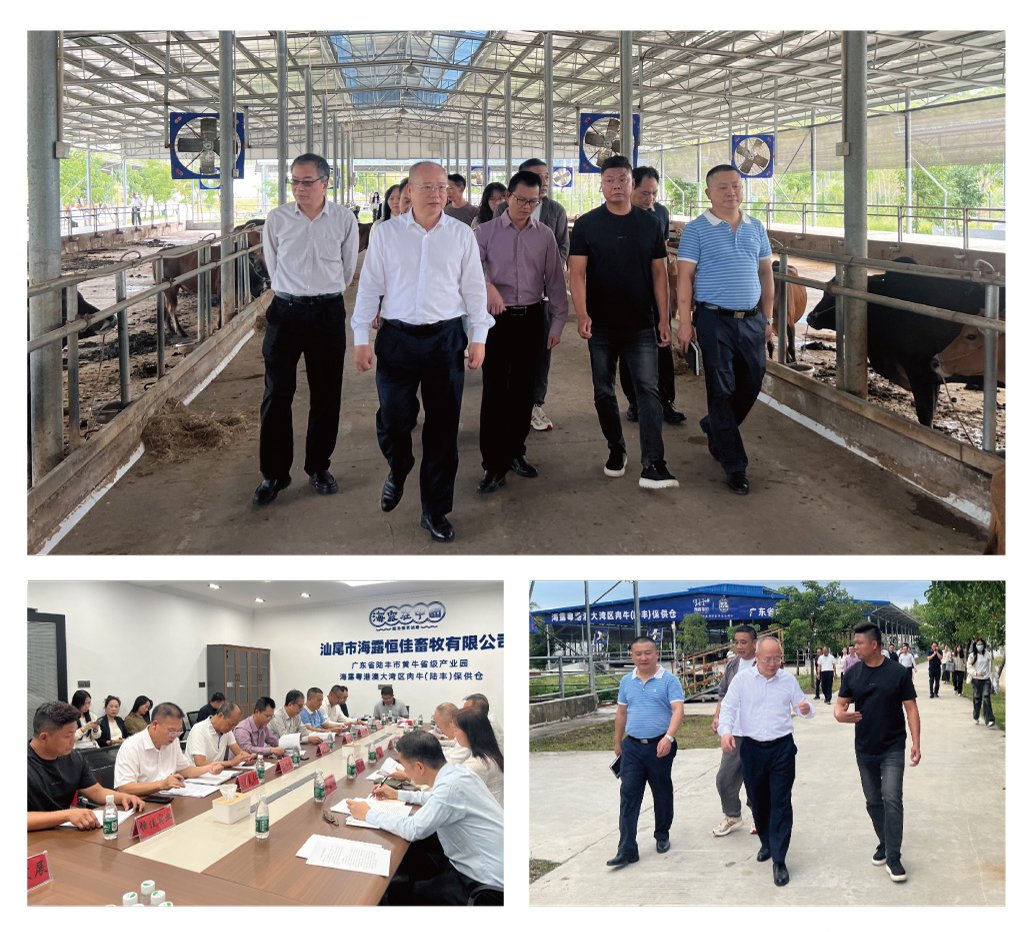 首页| J9集团国际站官方网站